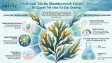  Bladderwrack Extract - DL 