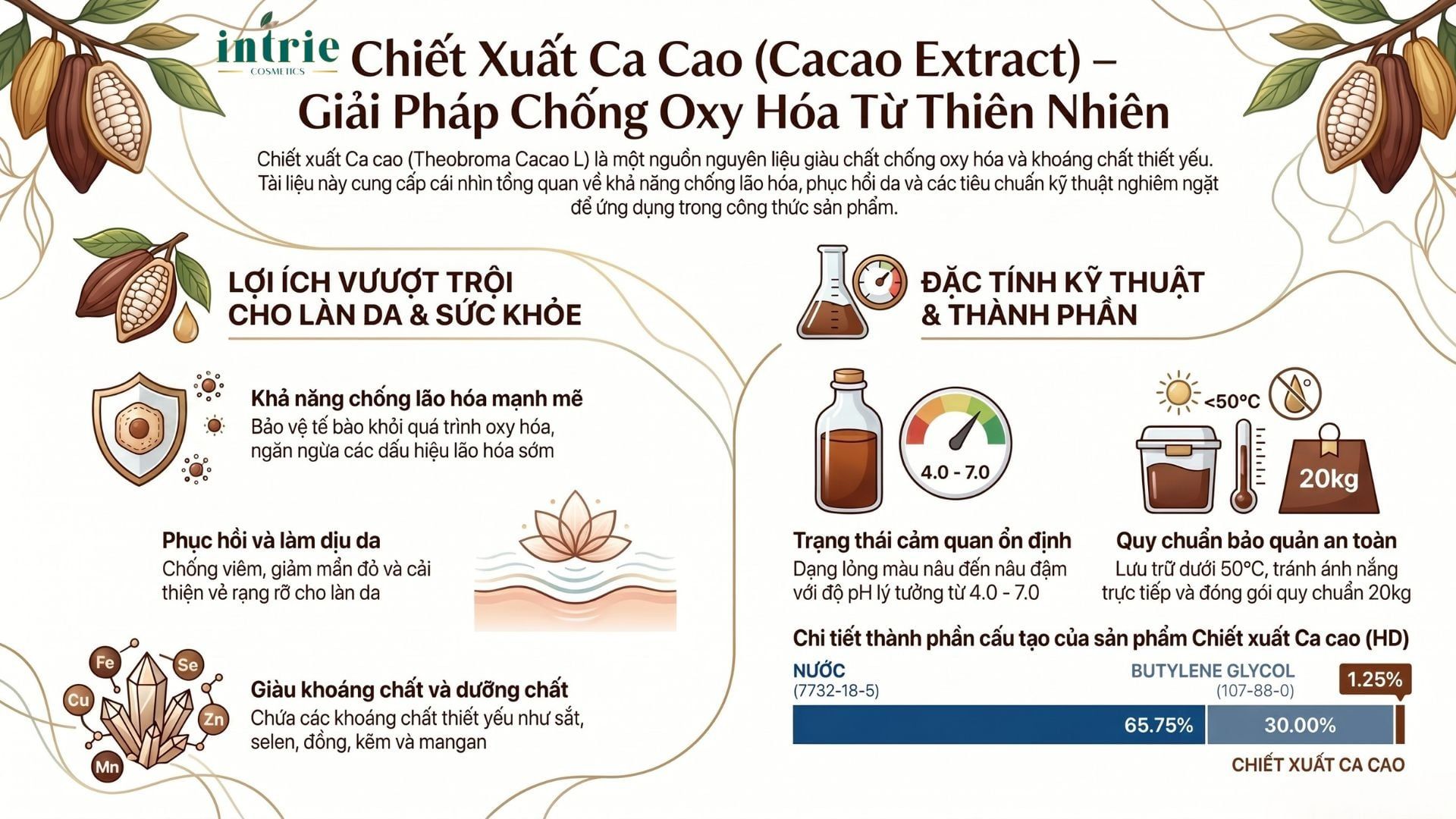  Cacao Extract(HD) 