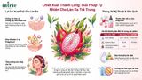  Dragon Fruit Extract(HD) 