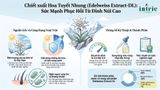  Edelweiss Extract-DL 