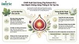  Fig Extract-DL 