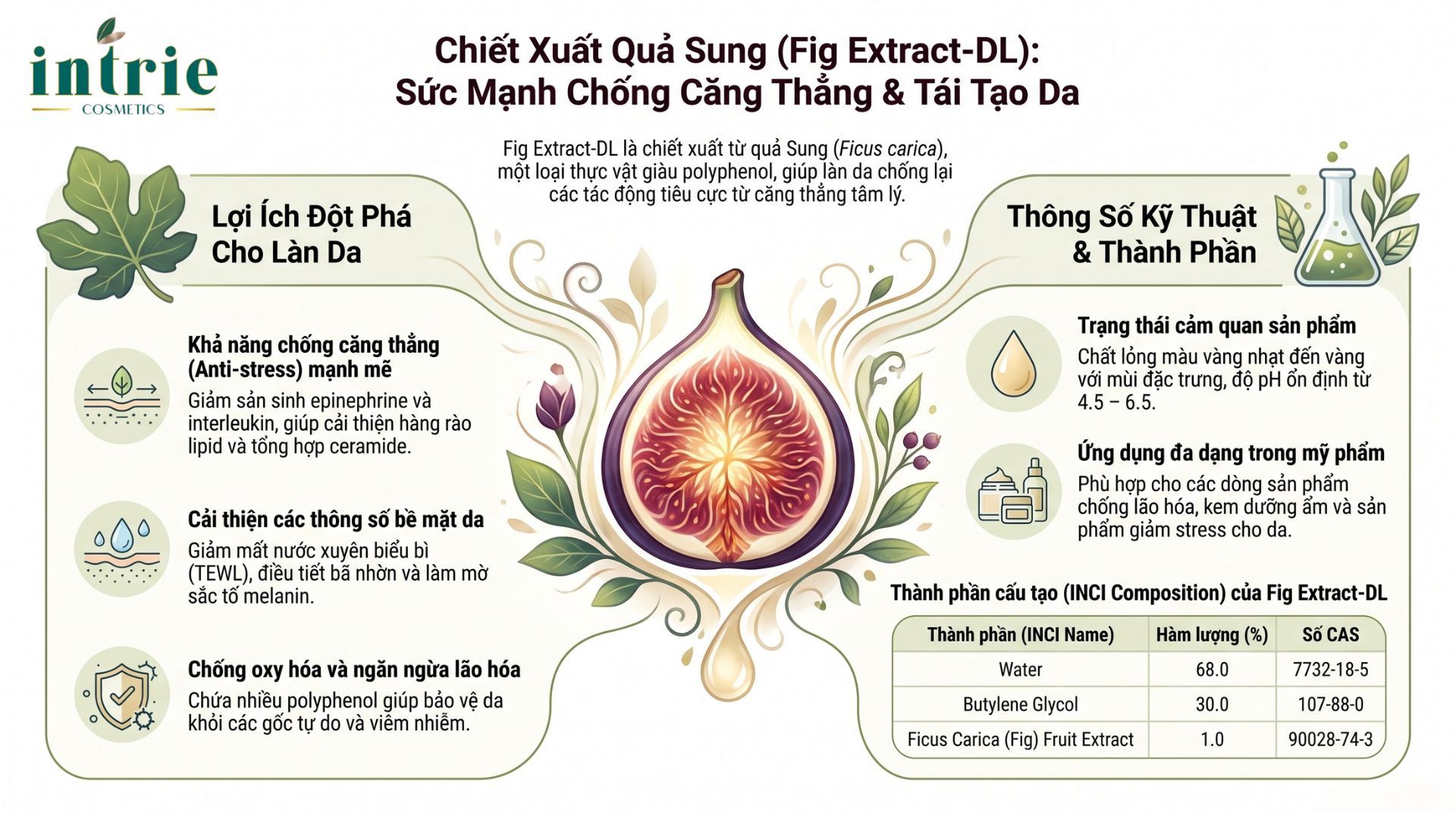  Fig Extract-DL 