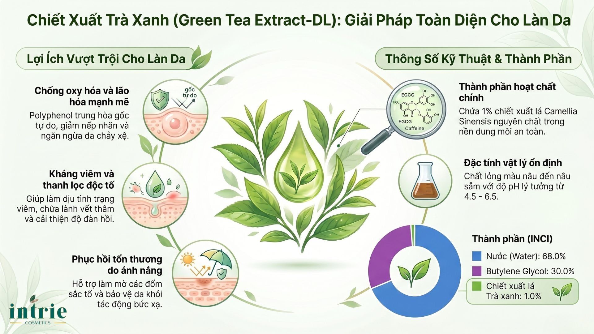  Green Tea Extract-DL 