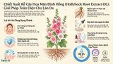  HOLLYHOCK ROOT EXTRACT-DL 