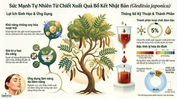  HONEY LOCUST FRUIT EXTRACT(K) 