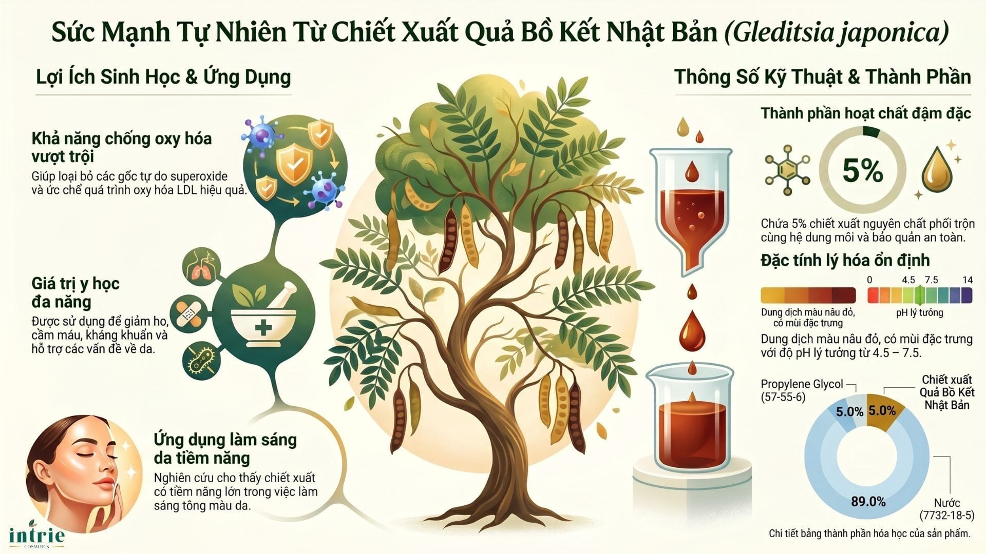  HONEY LOCUST FRUIT EXTRACT(K) 