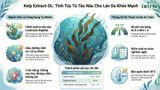 Kelp Extract-DL 