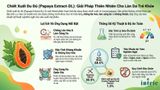  Papaya Extract-DL 