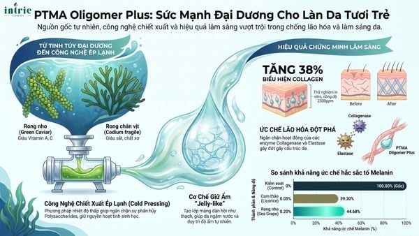  PTMA Oligomer Plus 