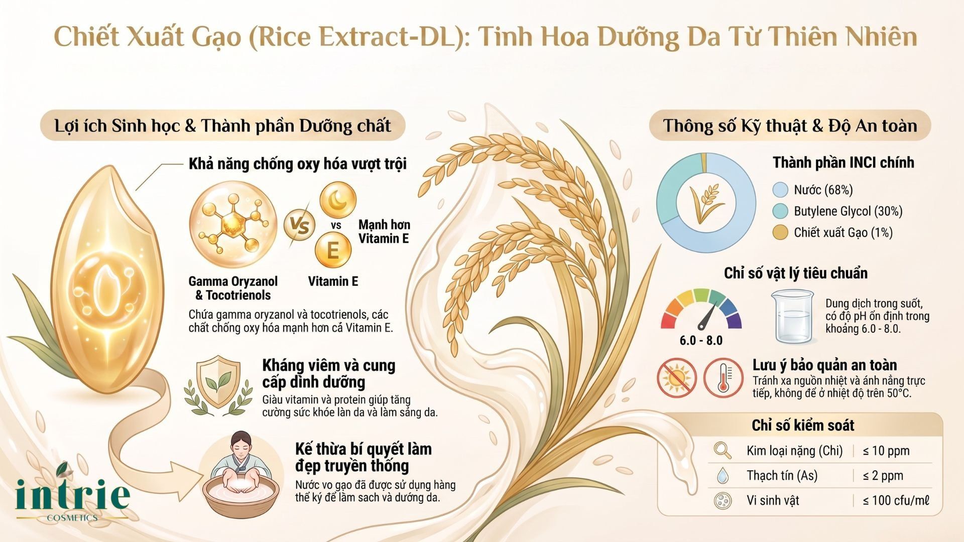  Rice Extract-DL 