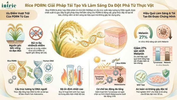  RICE PDRN 