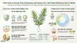  Rosemary Leaf Extract-DL 