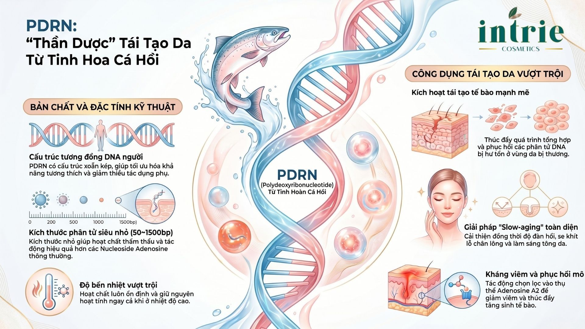  Salmon Testis S-DNA(HD) 
