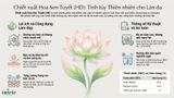  Snow Lotus Extract(HD) 