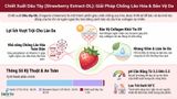  Strawberry Extrat-DL 
