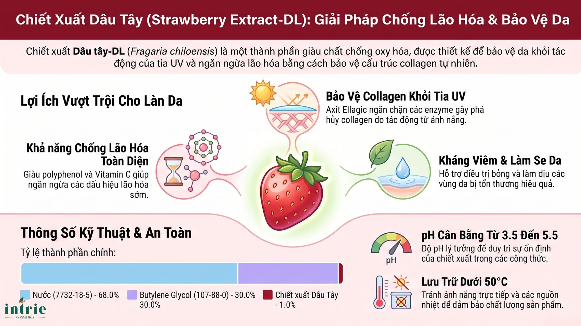  Strawberry Extrat-DL 