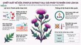  THISTLE EXTRACT-DL 