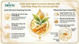  TURMERIC EXTRACT(HD) 