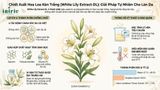  White Lily Extract-DL 