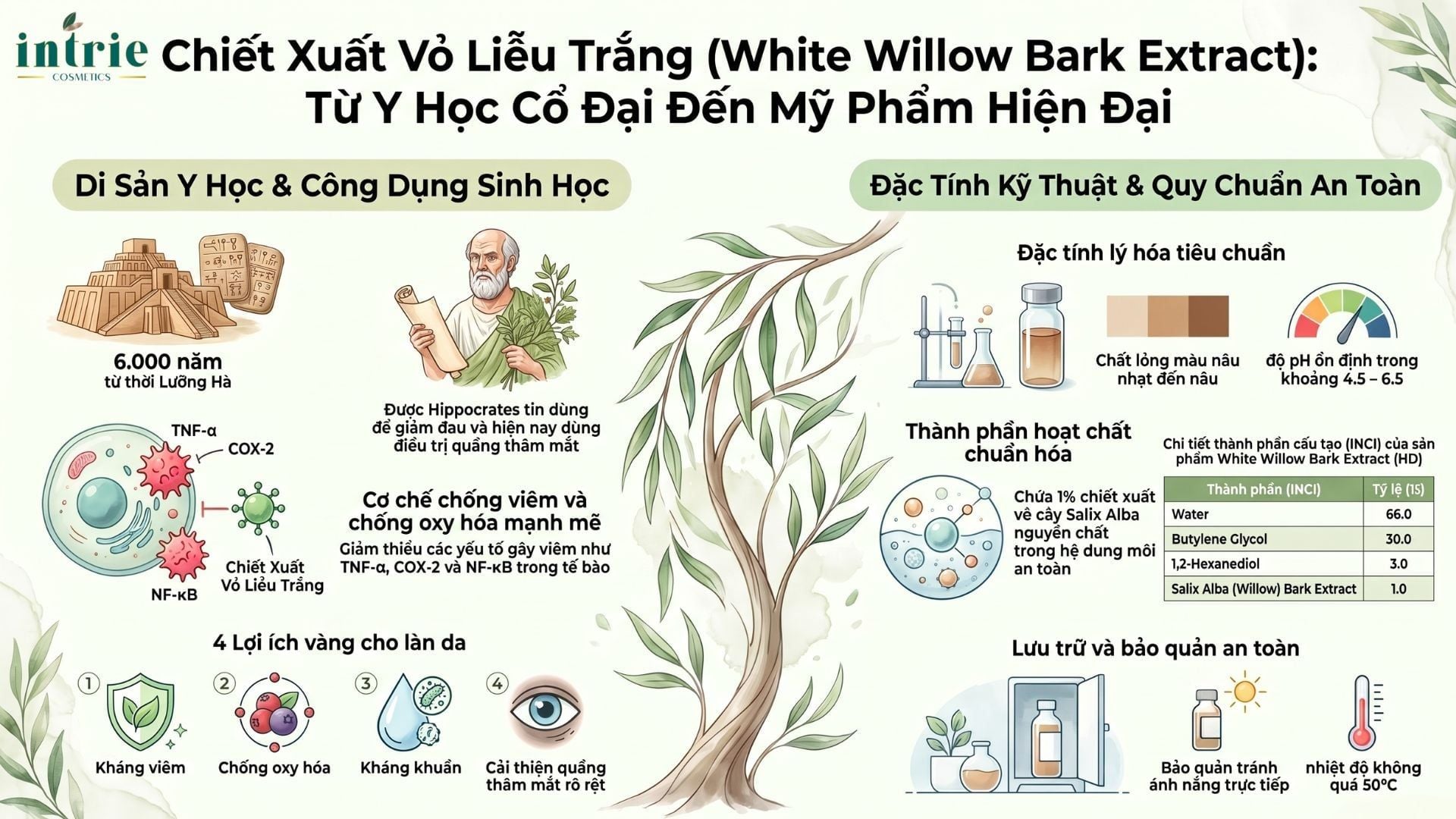  White Willow Bark Extract(HD) 