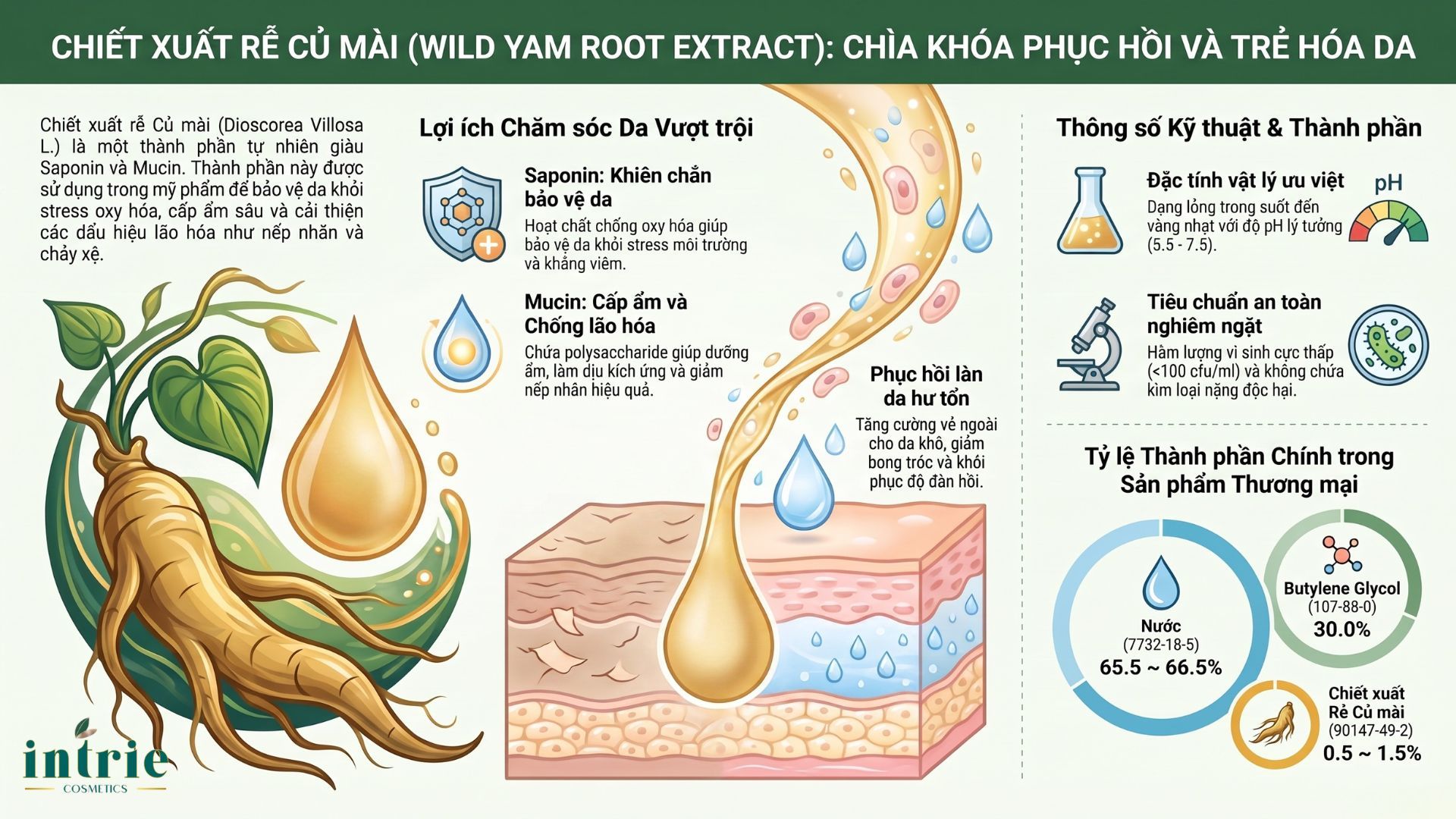 Wild Yam Root Extract(HD) 