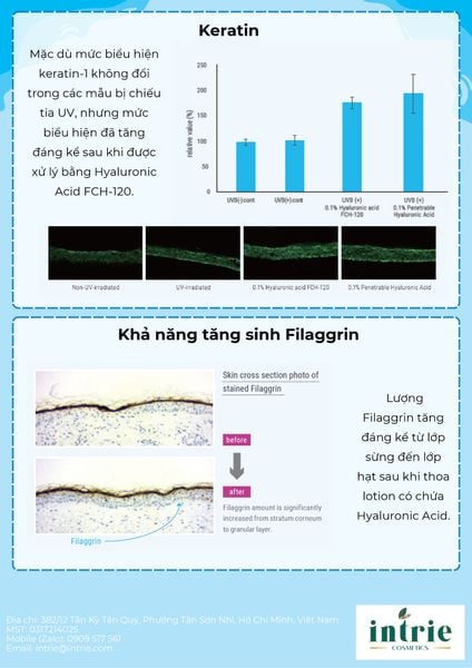  Hyaluronic Acid 