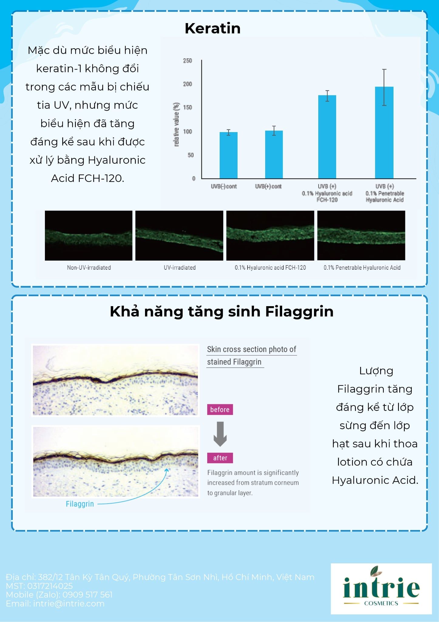  Hyaluronic Acid 