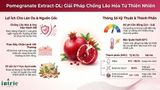 Pomegranate Extract-DL 