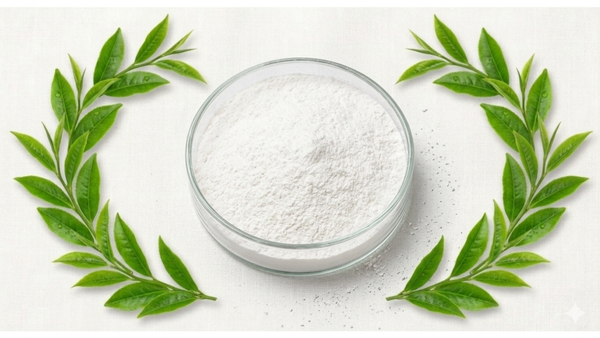  L-THEANINE 
