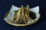  Ginseng Extract-DL 