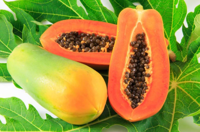  Papaya Extract-DL 