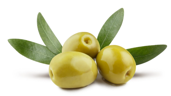  OLIVE EXTRACT-DL 