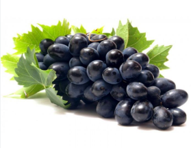  GRAPE EXTRACT-DL 