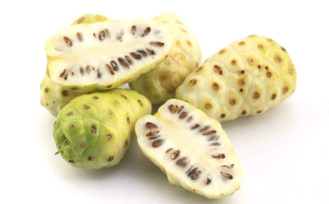  Noni Fruit Extract(HD) 