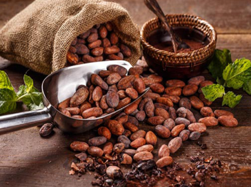  Cacao Extract(HD) 