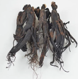  BLACK GINSENG EXTRACT(HD) 