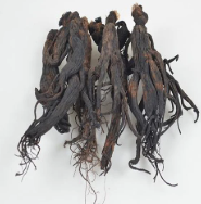  BLACK GINSENG EXTRACT(HD) 