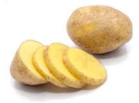  Potato Extract-DL 