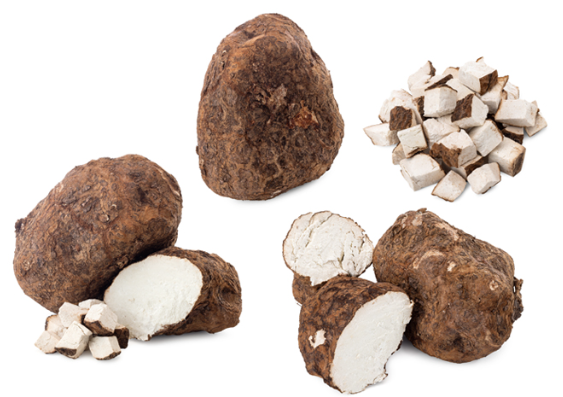  Poria Extract(HD) 