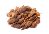  Forsythia Fruit Extract(HD) 