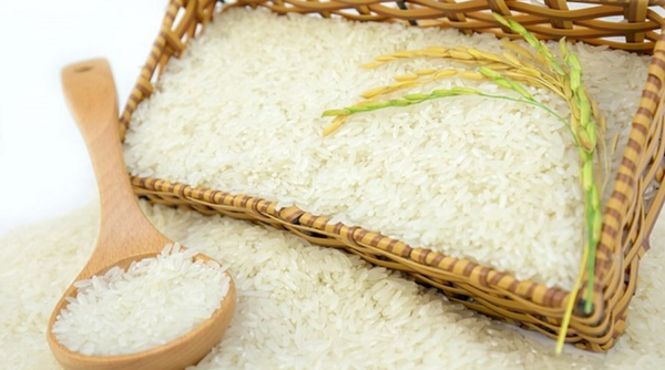  Rice Extract-DL 