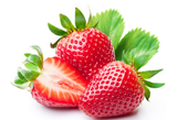  Strawberry Extrat-DL 