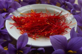  Saffron Stigma Extract-DL 