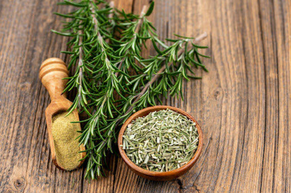  Rosemary Leaf Extract-DL 