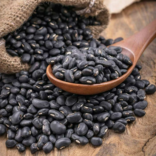  BLACK BEAN EXTRACT(HD) 