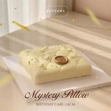  Mystery Pillow 