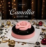  Camellia Berry Me 
