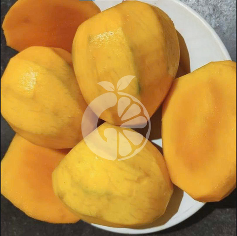 Frozen Australian Mango