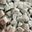 Frozen White Dragon Fruit