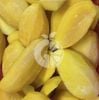 Frozen Taiwan Mango